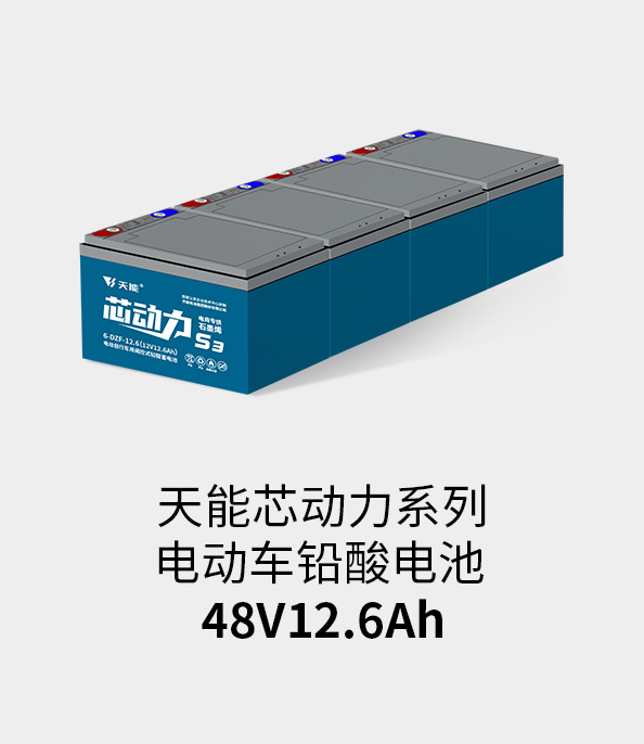 凯时K66电池48v12ah