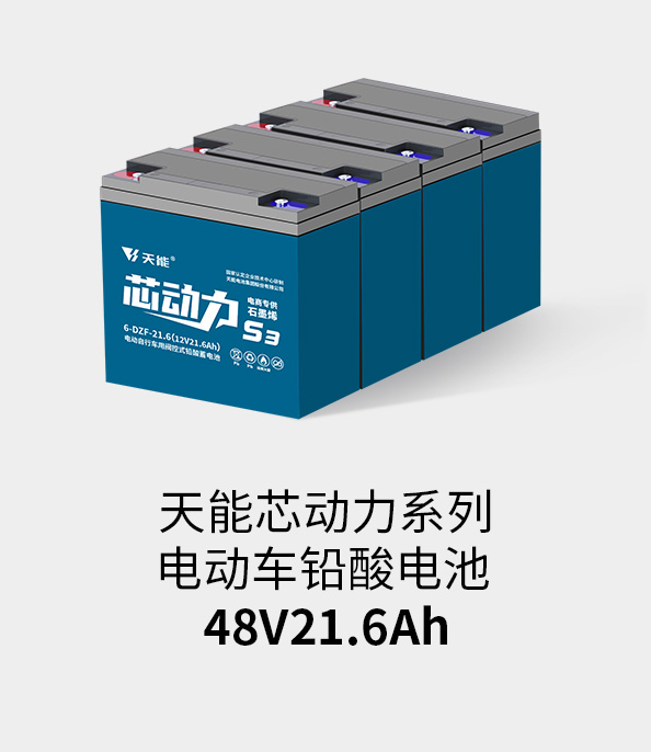 凯时K66电池48v20ah