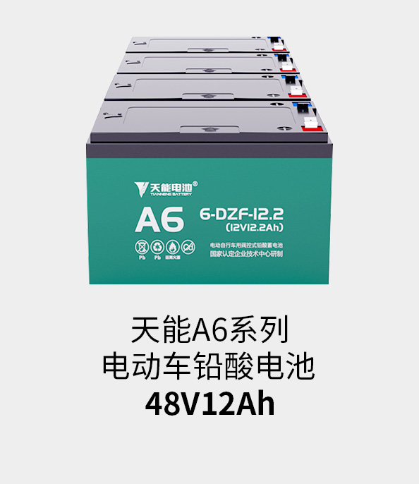 凯时K66电池48v12ah