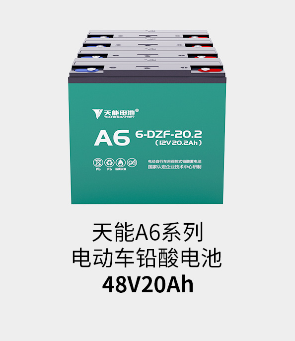 凯时K66电池48v20ah