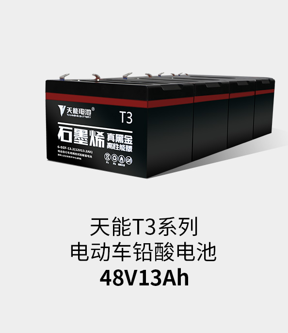 凯时K66T3系列48v13ah