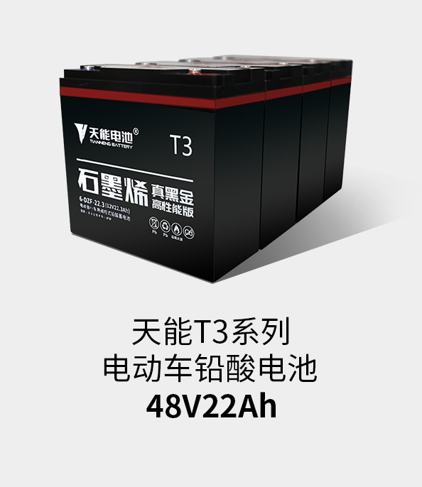 凯时K66T3系列48v22ah