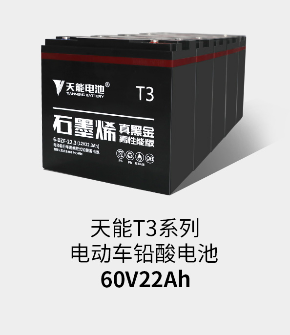 凯时K66T3系列60v22ah