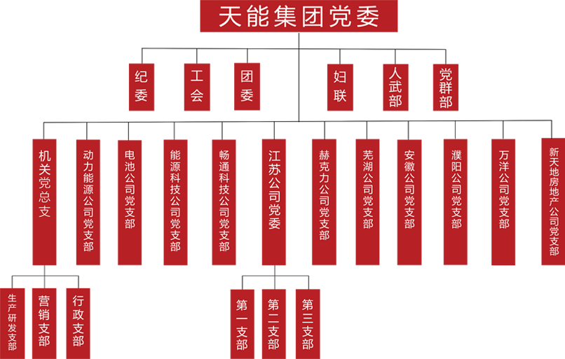 凯时K66建团党委组织架构
